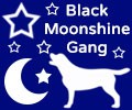 Black Moonshine Gang Labrador Retriever