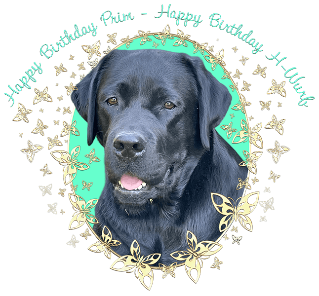 Happy Birthday H-Wurf