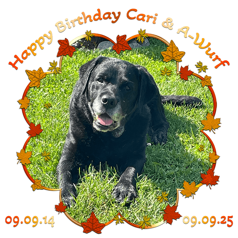 Happy Birthday Carilein unser Sonnenschein und die immer lacht